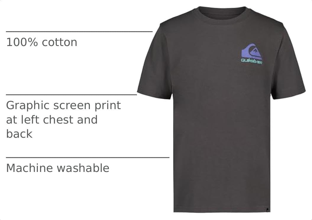 Quiksilver Boys' Short Sleeve Regular Fit Logo Graphic T-Shirt