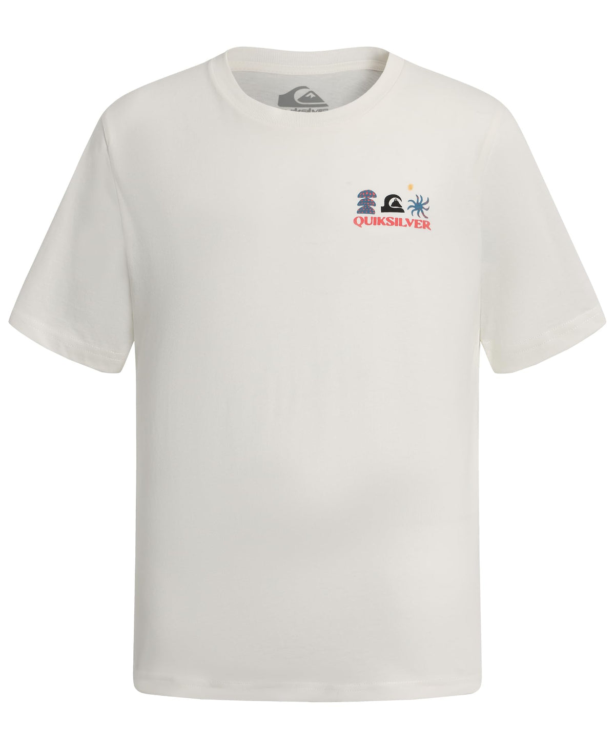 Quiksilver Boys' Short Sleeve Regular Fit Logo Graphic T-Shirt