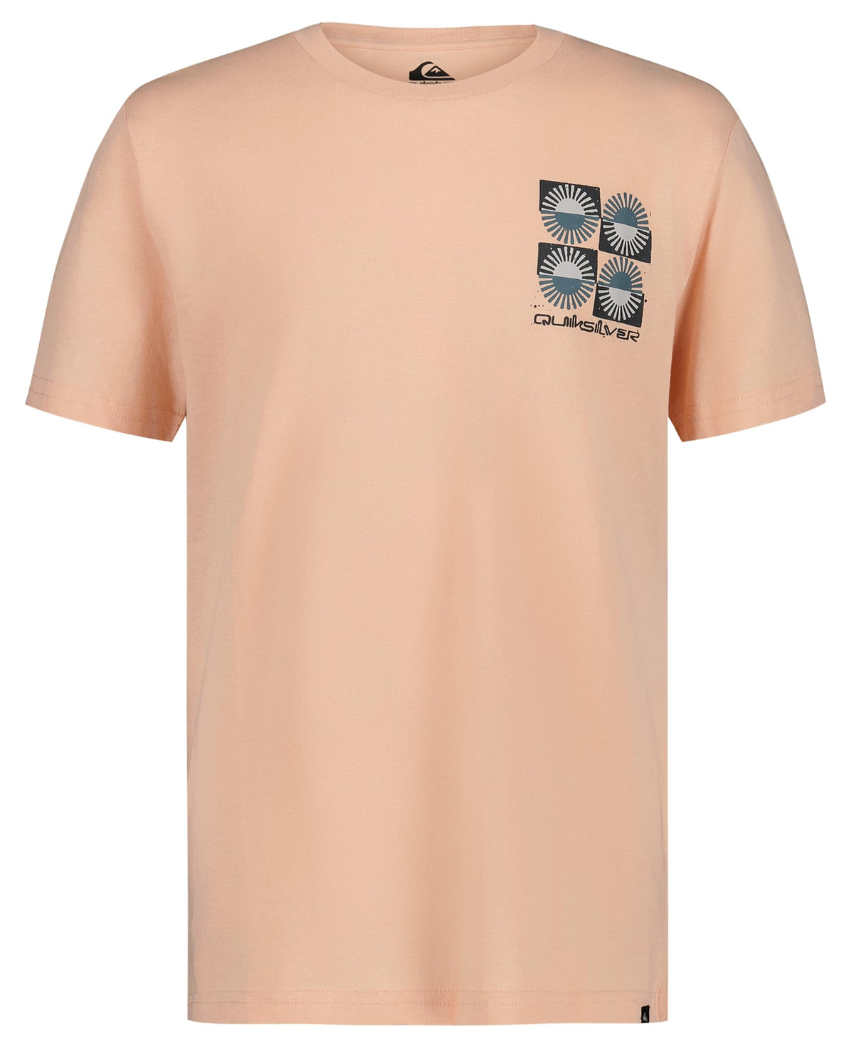 Quiksilver Boys' Short Sleeve Regular Fit Logo Graphic T-Shirt