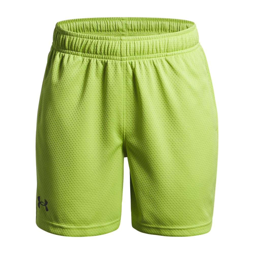 Under Armour Kids Tech Mesh Shorts (Big Kid)
