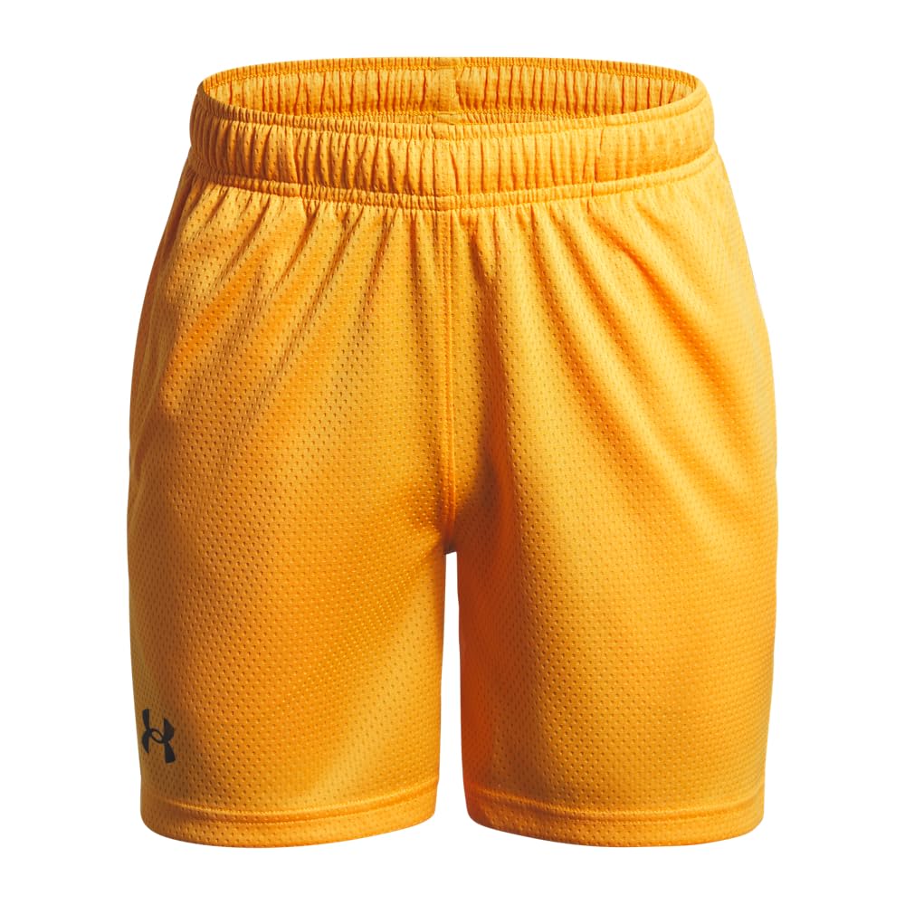 Under Armour Kids Tech Mesh Shorts (Big Kid)