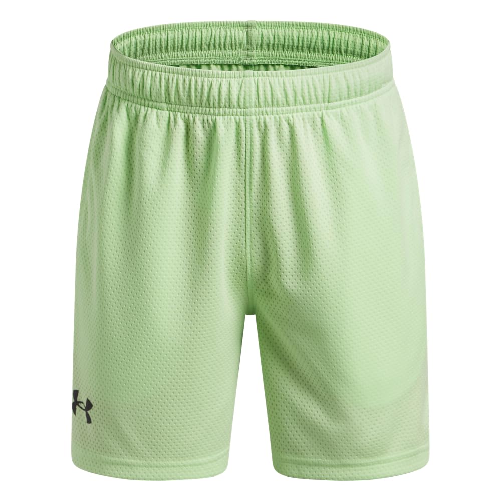 Under Armour Kids Tech Mesh Shorts (Big Kid)