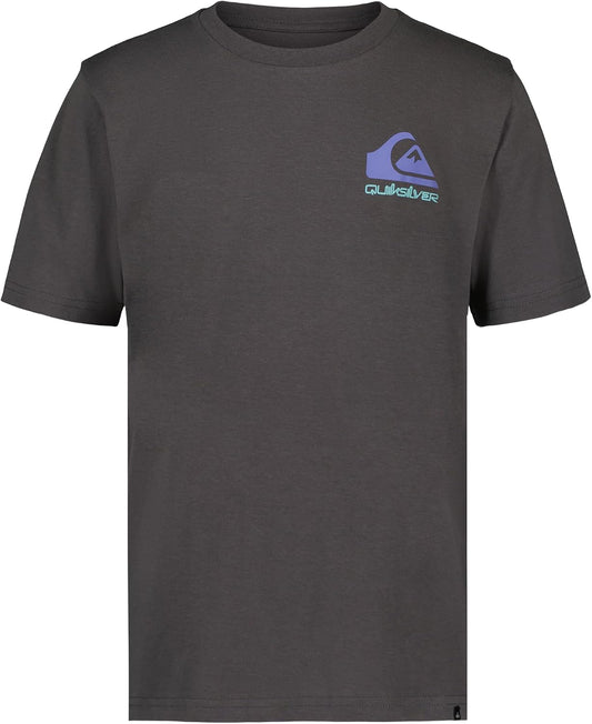 Quiksilver Boys' Short Sleeve Regular Fit Logo Graphic T-Shirt