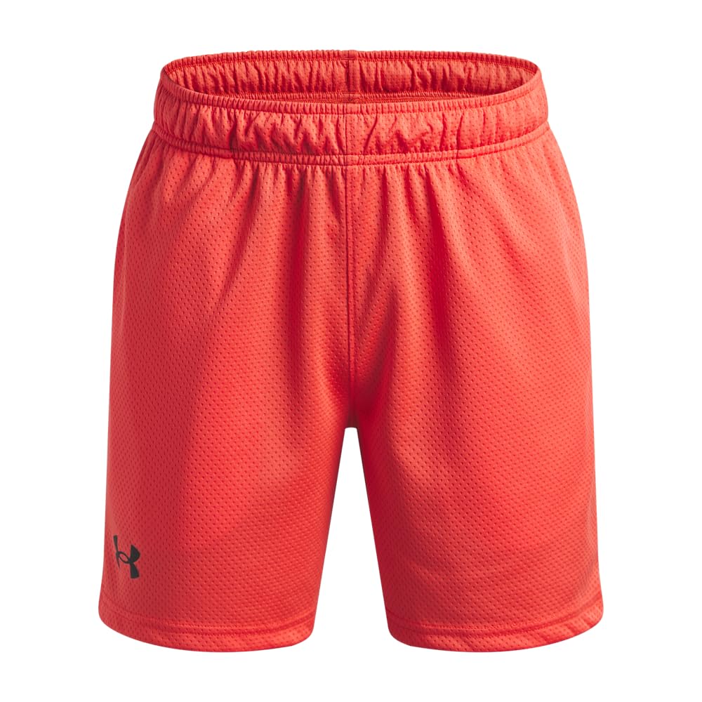 Under Armour Kids Tech Mesh Shorts (Big Kid)
