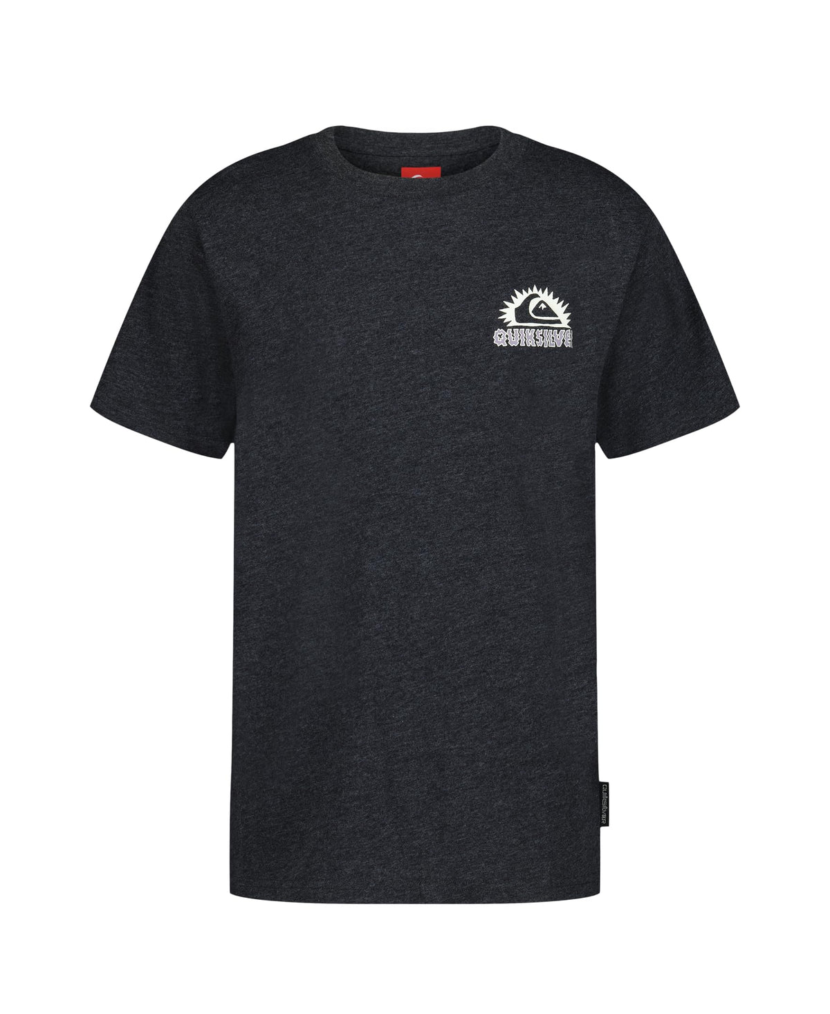 Quiksilver Boys' Short Sleeve Regular Fit Logo Graphic T-Shirt