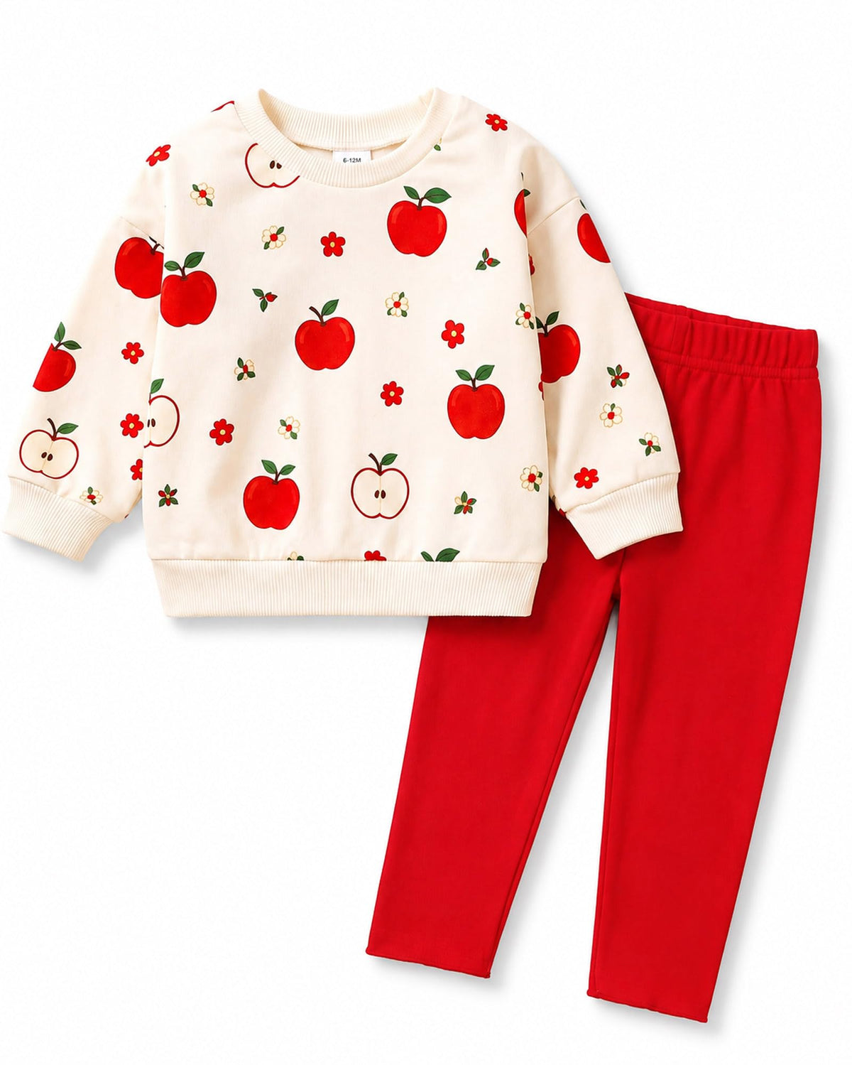 Baby Girl Clothes Baby Girl Outfits Sweatshirt Pants Set Long Sleeve Floral Print 6 12 18 24 Months 2T 3T