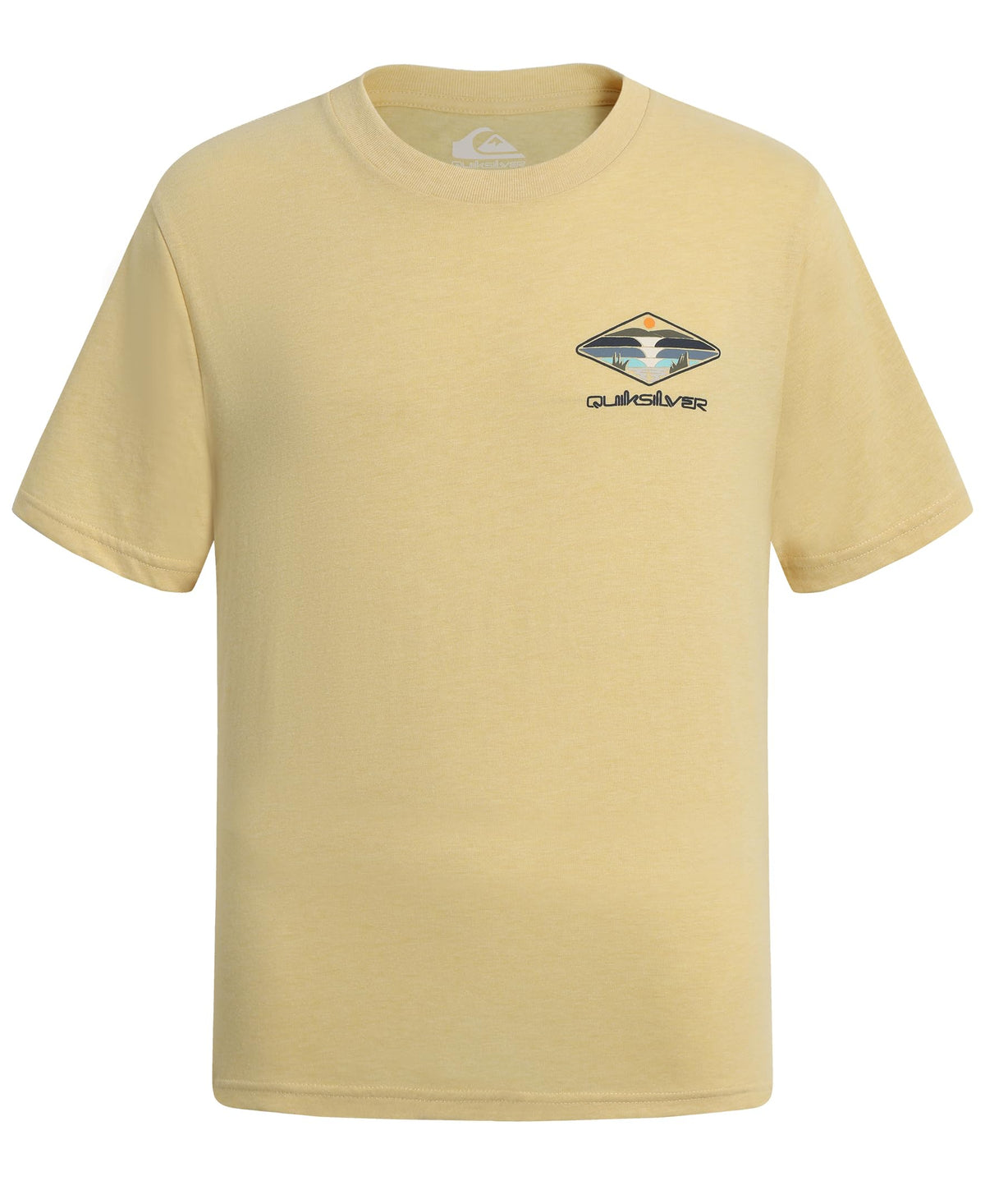 Quiksilver Boys' Short Sleeve Regular Fit Logo Graphic T-Shirt