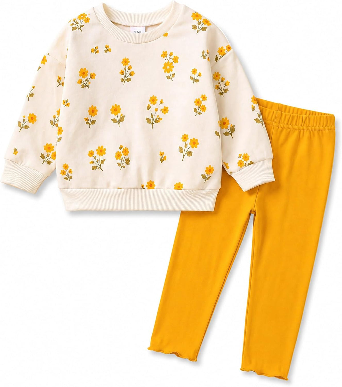 Baby Girl Clothes Baby Girl Outfits Sweatshirt Pants Set Long Sleeve Floral Print 6 12 18 24 Months 2T 3T