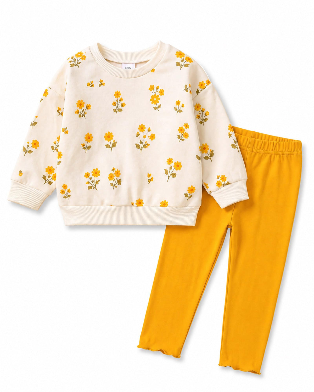 Baby Girl Clothes Baby Girl Outfits Sweatshirt Pants Set Long Sleeve Floral Print 6 12 18 24 Months 2T 3T