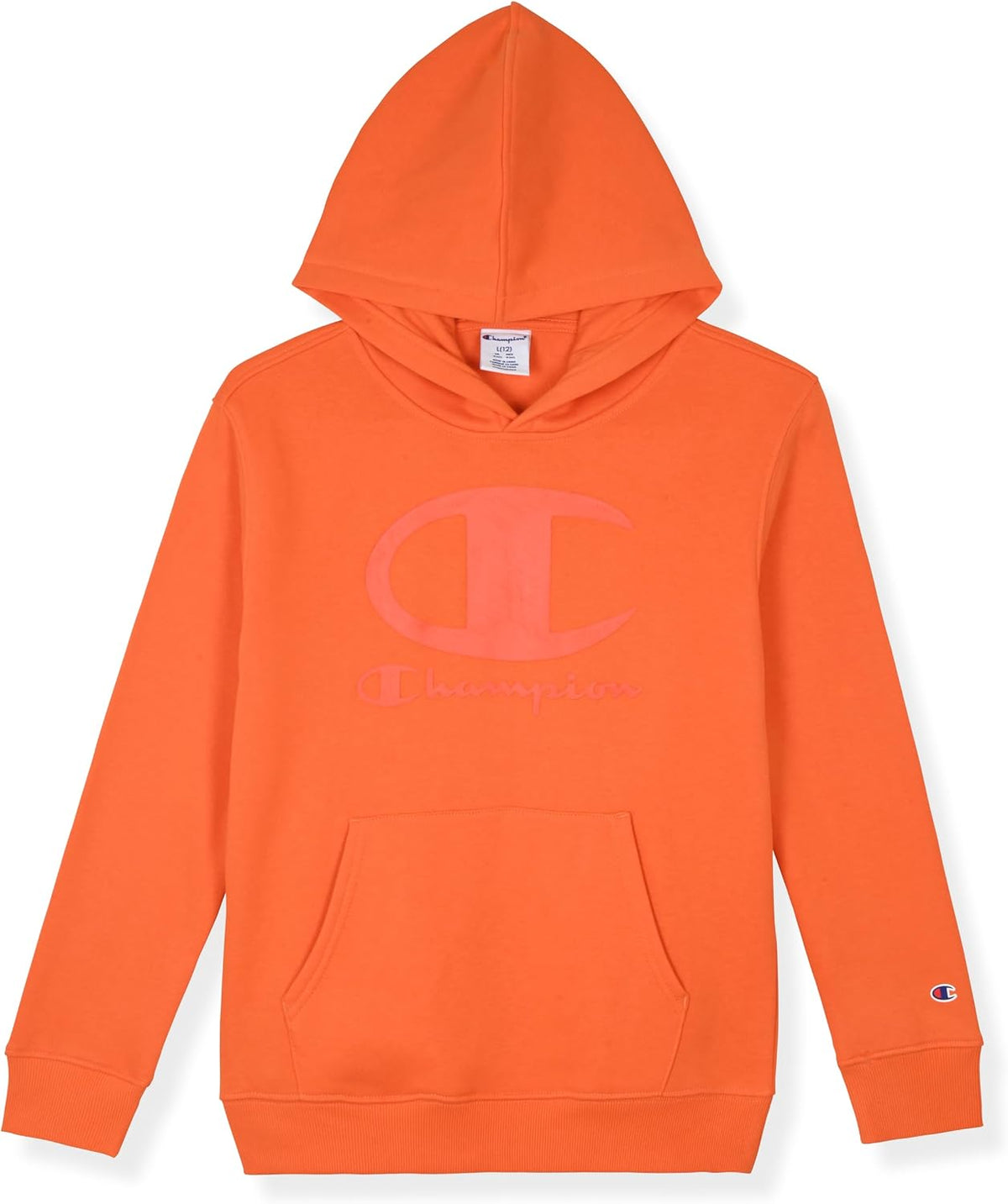 Champion Boys Jogger Set Fleece Hoodie and Sweatpants Tracksuit