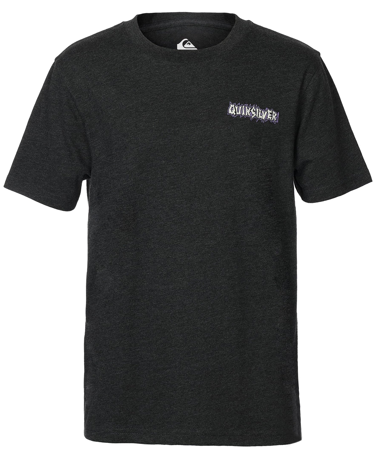 Quiksilver Boys' Short Sleeve Regular Fit Logo Graphic T-Shirt
